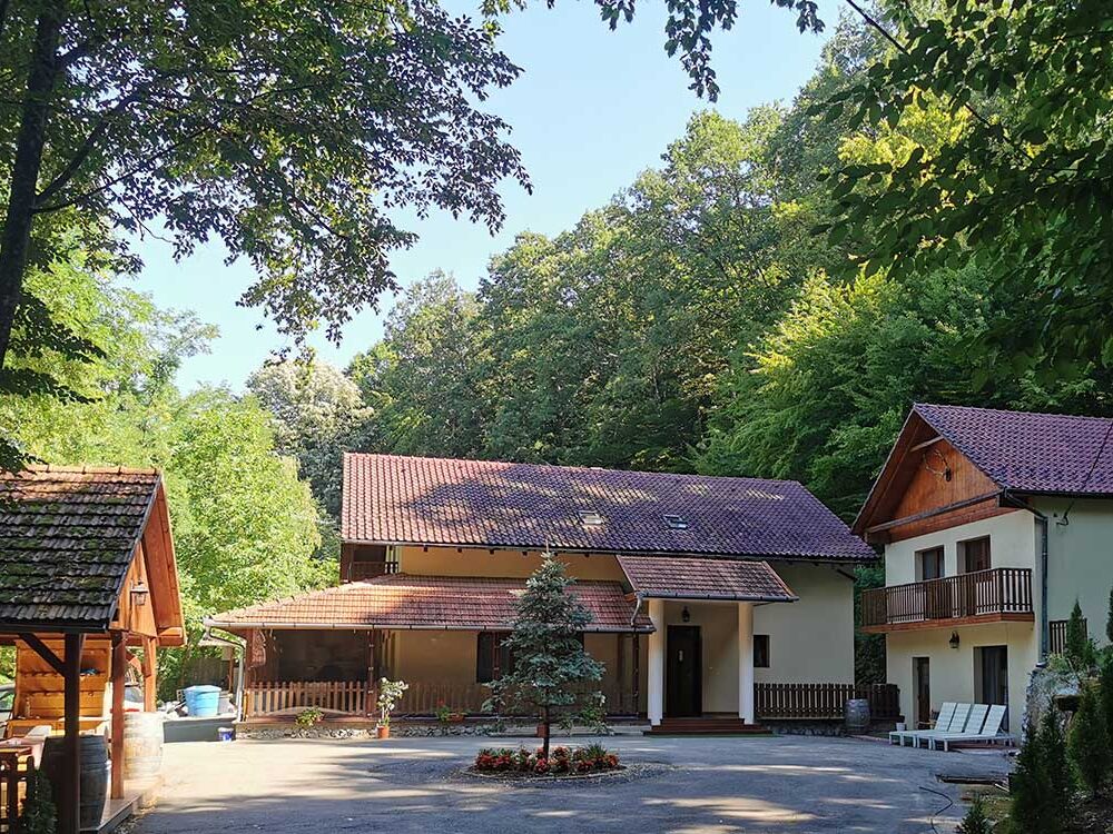Bistro - Pensiun Valea Gepisului Bihor