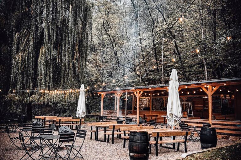 Bistro Restaurant Valea Gepisului