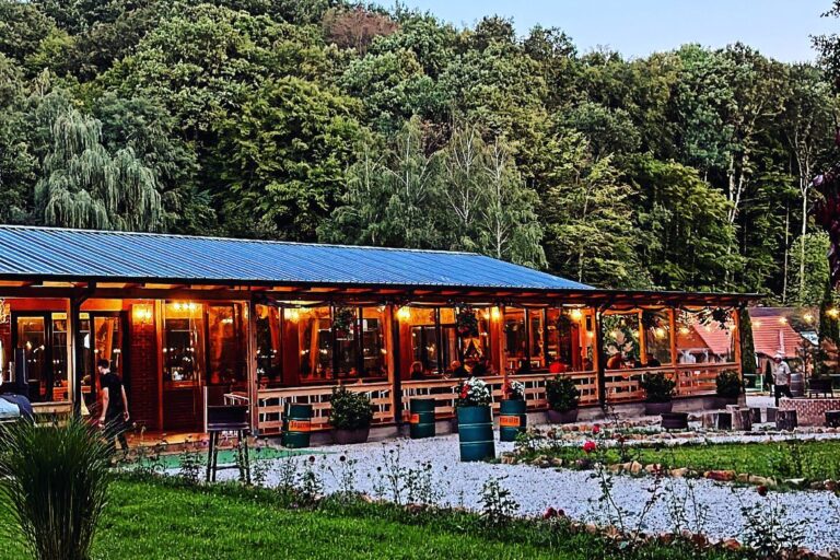 Restaurant Terasa Valea Gepisului