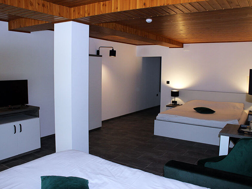 Pensiune Valea Gepisului apartament terasa