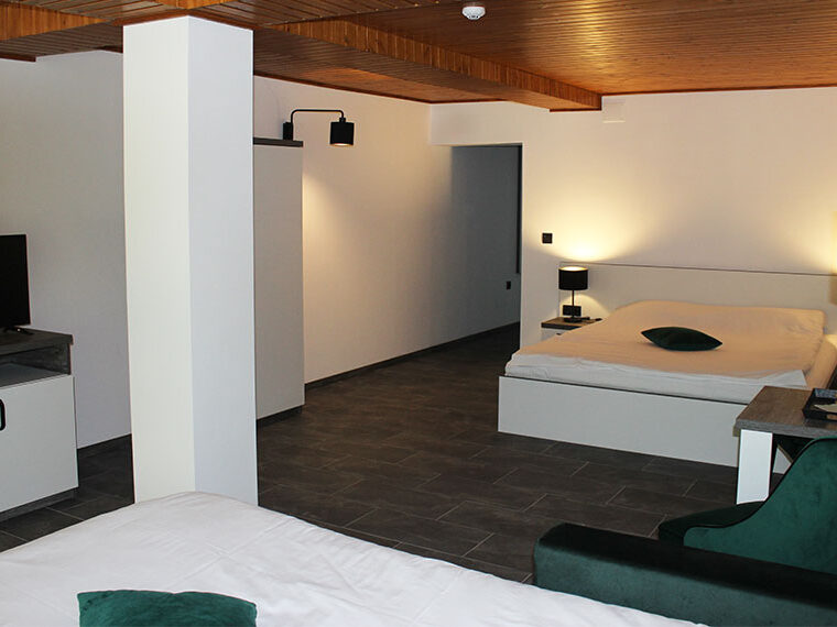 Pensiune Valea Gepisului